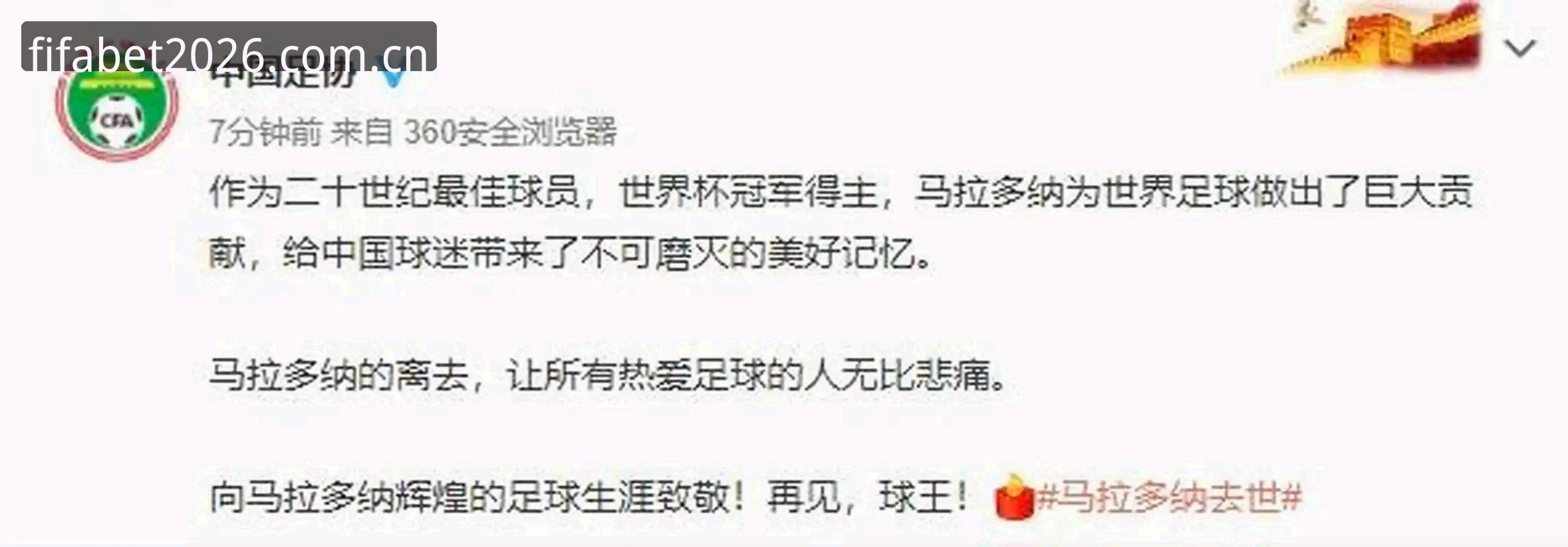 资深用户分享足协重磅罚单解读与世界杯体彩投注决策心得